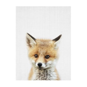 Poster Blue-Shaker Baby Animals Fox, 30 x 40 cm