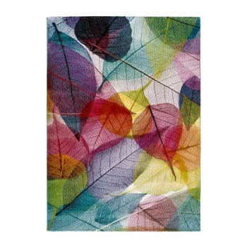 Covor universal colors multi, 160 x 230 cm