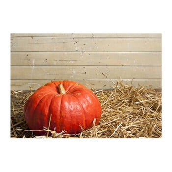 Covoraș pentru baie pumpkin, 52 x 75 cm