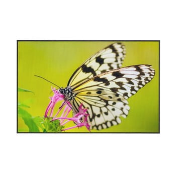 Covor oyo home butterfly, 80 x 140 cm, verde