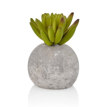 Floare artificială în ghiveci din beton the mia crassula