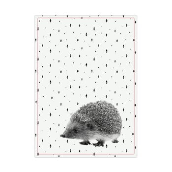 Prosop de bucătărie pt living hedgehog, 50 x 70 cm