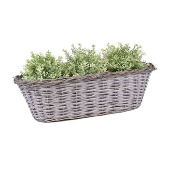 Coș pentru plantat ego dekor, lungime 53 cm