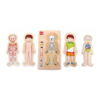 Jucărie din lemn legler anatomy boy