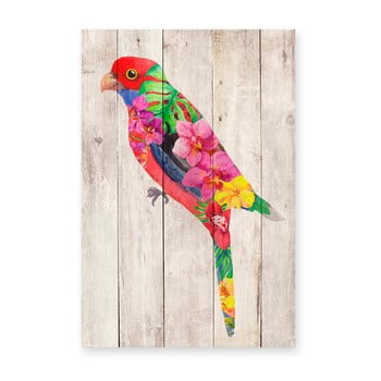 Decorațiune din lemn de pin pentru perete madre selva flowers parrot, 60 x 40 cm