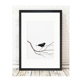Tablou tablo center birdy, 24 x 29 cm