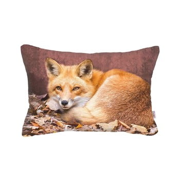 Față de pernă apolena foxina, 50 x 31 cm