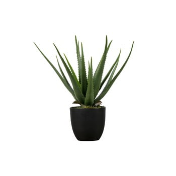 Aloe vera artificială WOOOD, înălțime 55 cm imagine