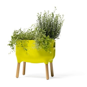Vas pentru cultivarea plantelor plastia low urbalive, înălțime 48 cm, verde