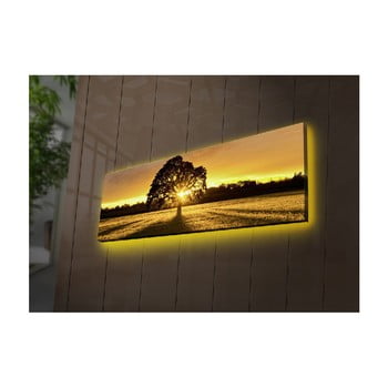 Tablou cu LED-uri Dione, 90 x 30 cm