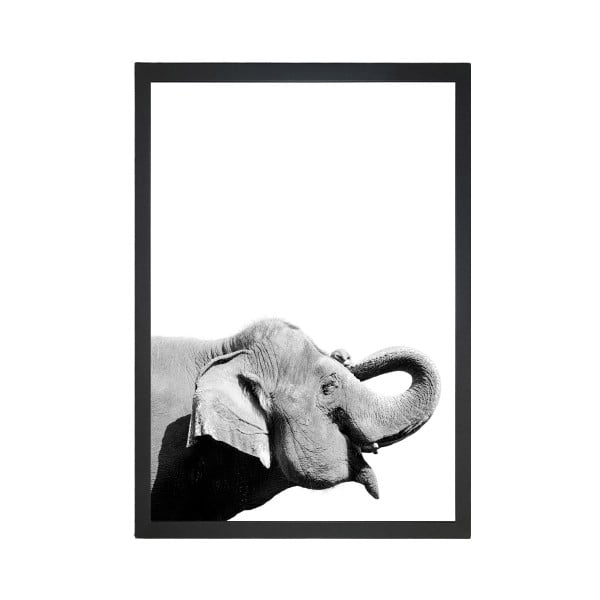 Obraz Tablo Center Elephant, 24 x 29 cm
