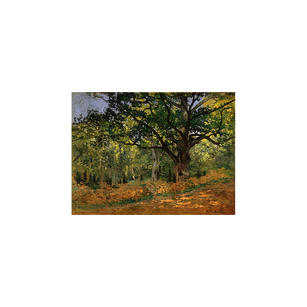Reprodukce obrazu Claude Monet - The Bodmer Oak, Fontainebleau Forest, 70 x 50 cm