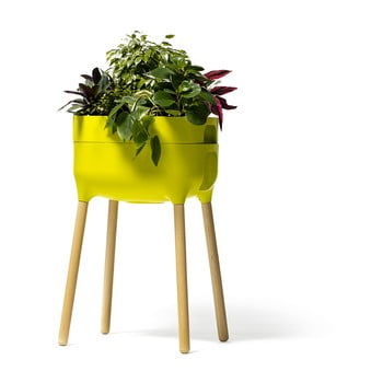 Vas pentru cultivarea plantelor plastia high urbalive, verde