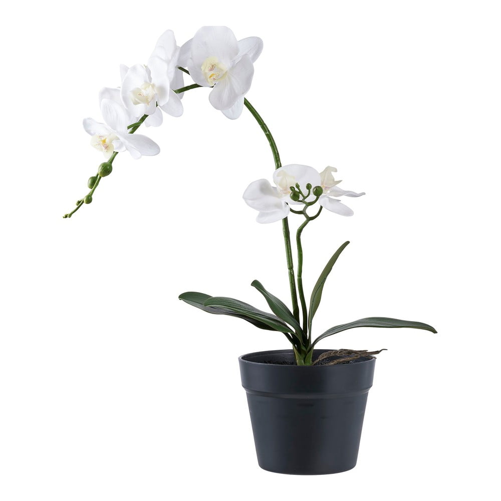 Umělá květina (výška 47 cm) Orchid – House Nordic