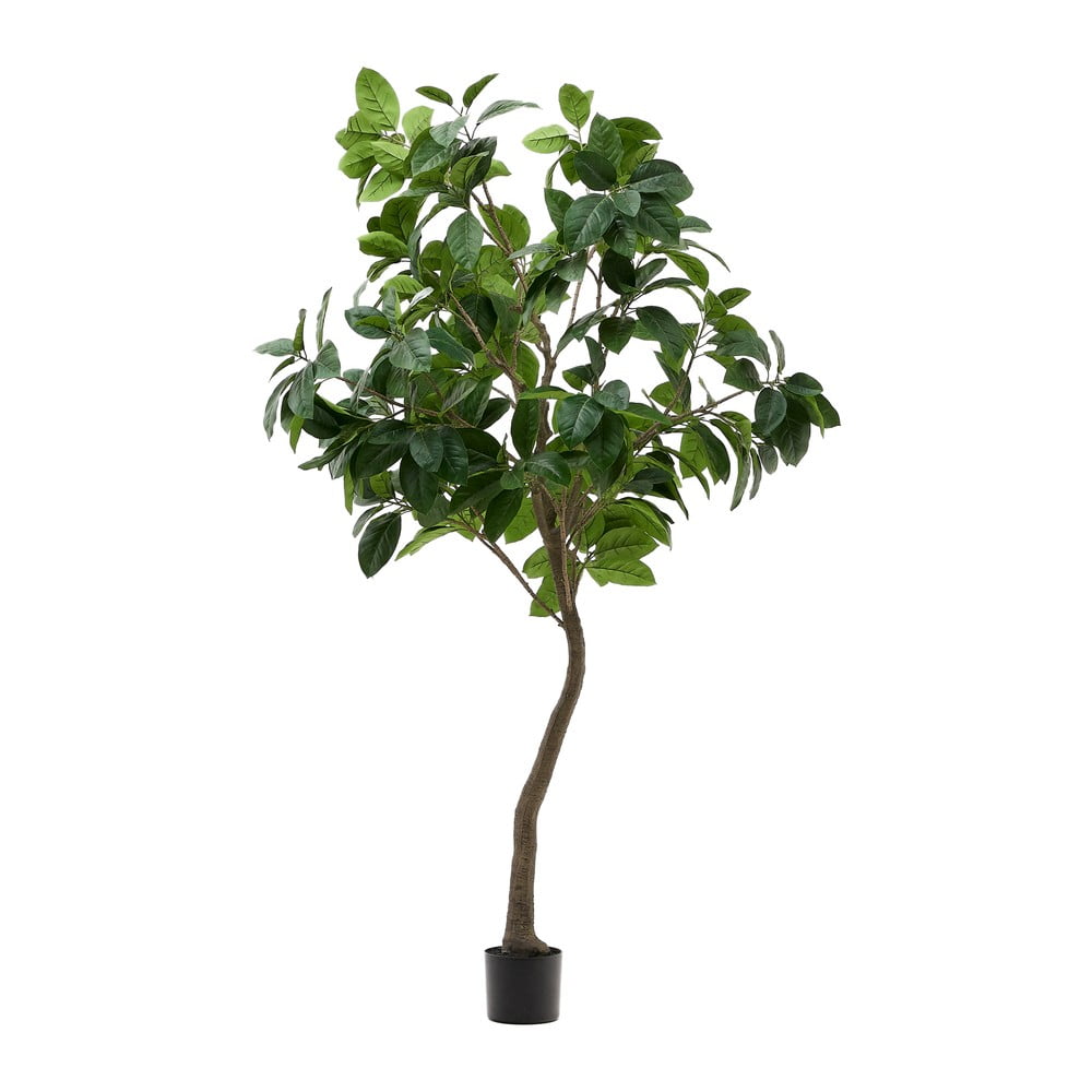 Umělý fíkus (výška 210 cm) Ficus – Kave Home
