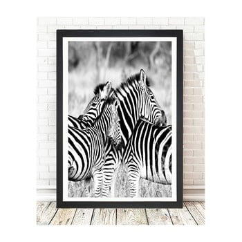 Tablou tablo center zebras, 24 x 29 cm