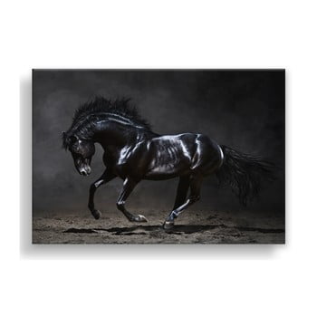 Tablou styler canvas silver uno horse, 85 x 113 cm